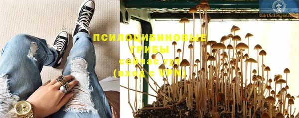 первитин Горно-Алтайск