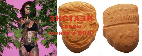 гашик Вяземский