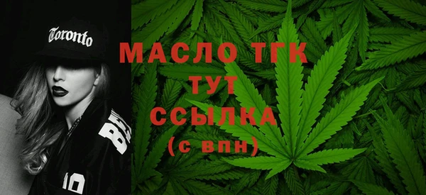 гашик Вяземский