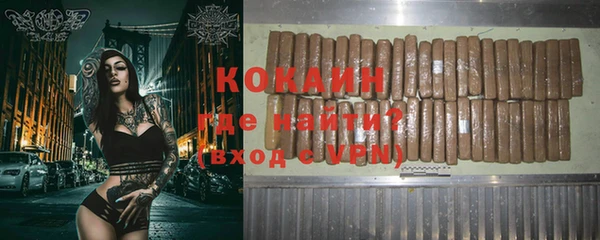 гашик Вяземский