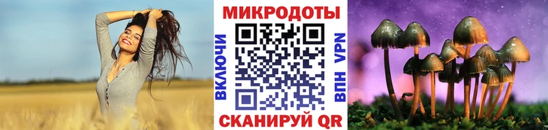 kraken tor  что такое наркотик  Сызрань  Галлюциногенные грибы Magic Shrooms 